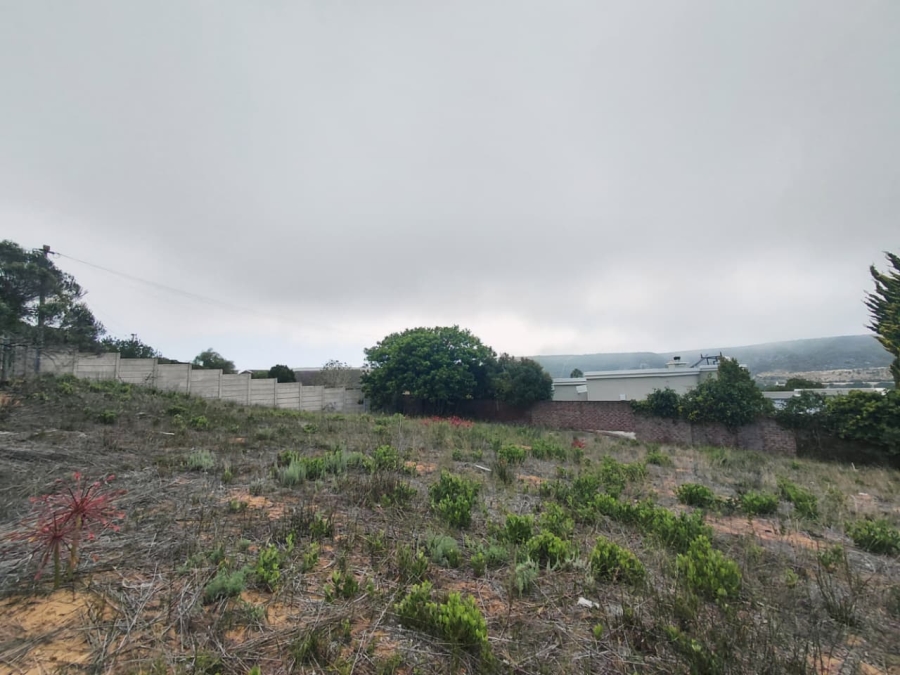 0 Bedroom Property for Sale in Stilbaai Wes Western Cape